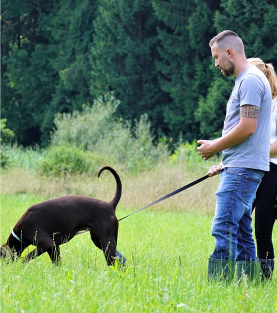 Dein persönlicher Hundetrainer Dein persönlicher Hundetrainer